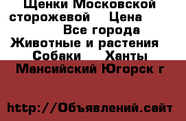Щенки Московской сторожевой  › Цена ­ 25 000 - Все города Животные и растения » Собаки   . Ханты-Мансийский,Югорск г.